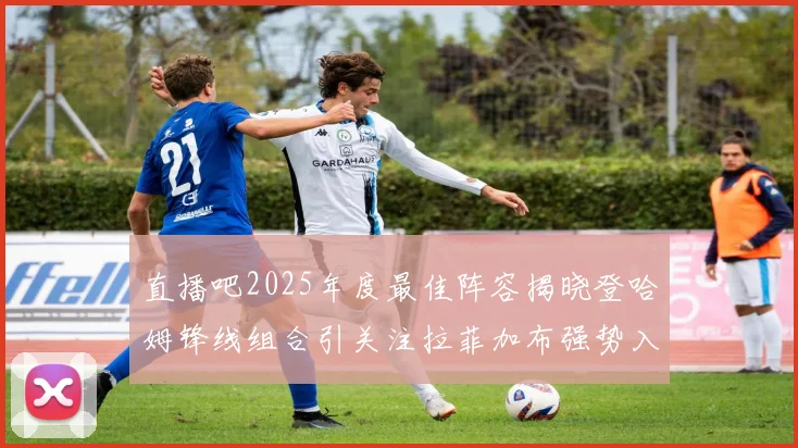 直播吧2025年度最佳阵容揭晓登哈姆锋线组合引关注拉菲加布强势入选