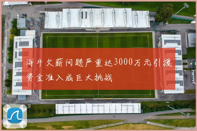 海牛欠薪问题严重达3000万元引援资金准入成巨大挑战