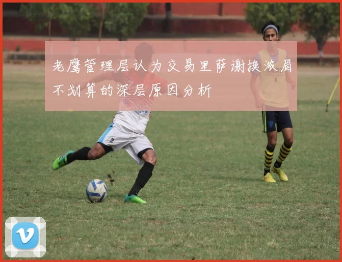 老鹰管理层认为交易里萨谢换浓眉不划算的深层原因分析