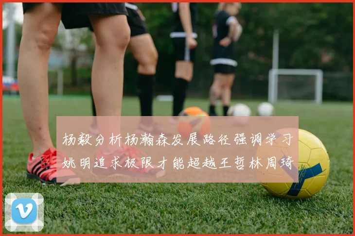 杨毅分析杨瀚森发展路径强调学习姚明追求极限才能超越王哲林周琦状态