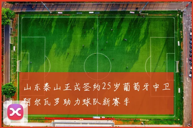 山东泰山正式签约25岁葡萄牙中卫阿尔瓦罗助力球队新赛季