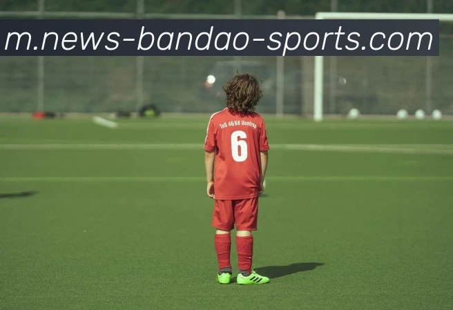 半岛体育服务体系